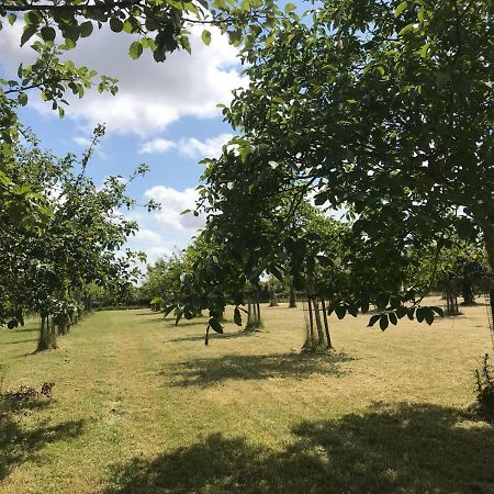 Vakantiehuizen 'T Centrum 东卡佩勒 外观 照片