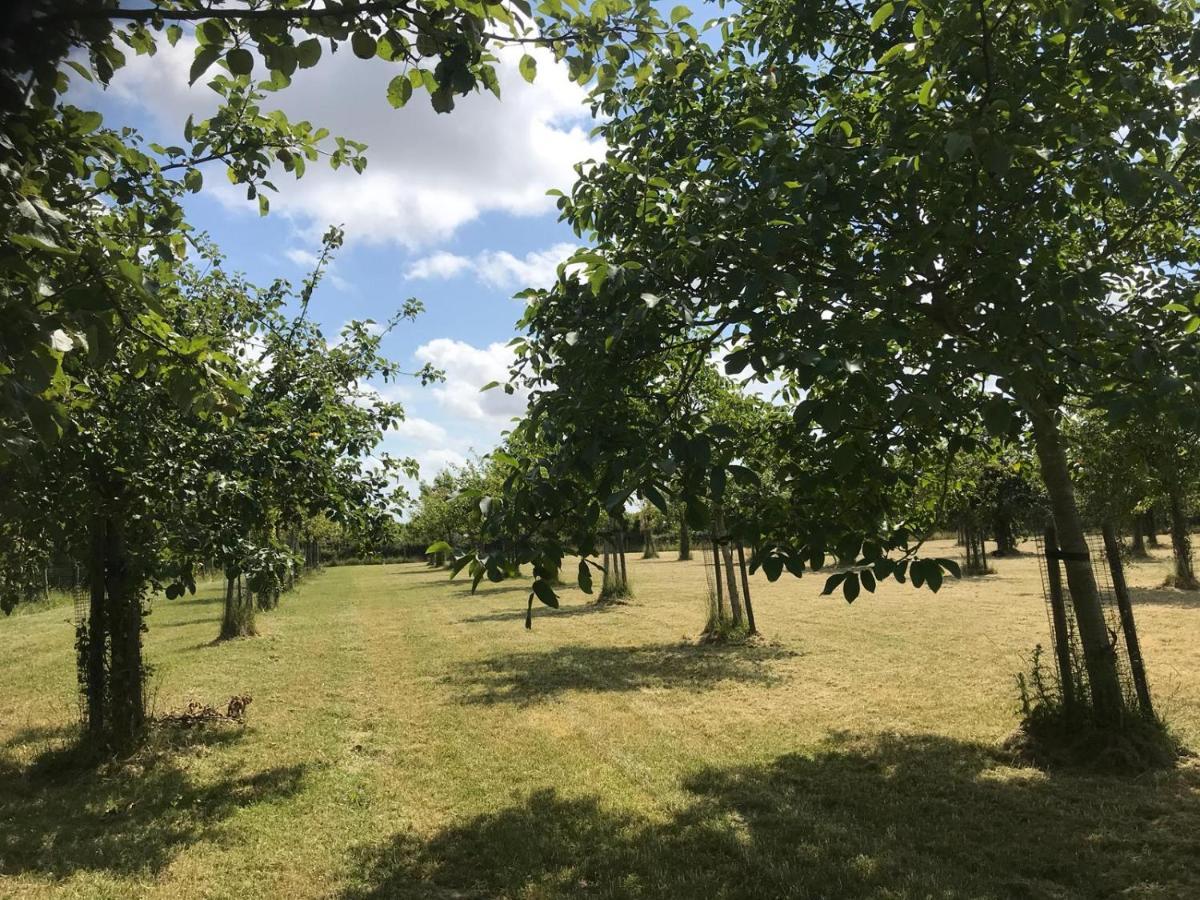 Vakantiehuizen 'T Centrum 东卡佩勒 外观 照片